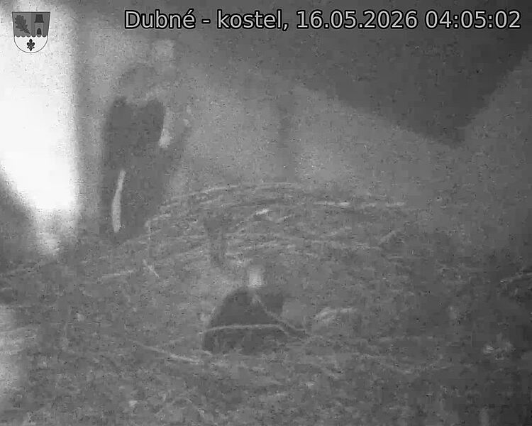 preload