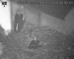 Capi_Dubne_20260516_044003.jpg