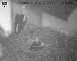 Capi_Dubne_20260516_045003.jpg