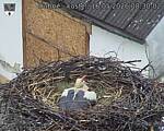 Capi_Dubne_20260516_083002.jpg