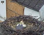 Capi_Dubne_20260516_092504.jpg