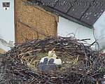 Capi_Dubne_20260516_100502.jpg