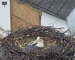 Capi_Dubne_20260516_111003.jpg
