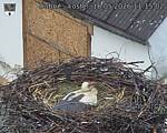 Capi_Dubne_20260516_111502.jpg