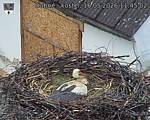 Capi_Dubne_20260516_114502.jpg