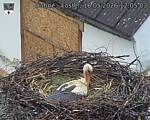 Capi_Dubne_20260516_120503.jpg