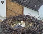 Capi_Dubne_20260516_121502.jpg