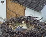 Capi_Dubne_20260516_131504.jpg