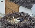 Capi_Dubne_20260516_132502.jpg