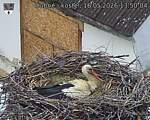 Capi_Dubne_20260516_135004.jpg