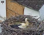 Capi_Dubne_20260516_135504.jpg