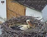 Capi_Dubne_20260516_140504.jpg
