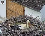 Capi_Dubne_20260516_141003.jpg