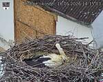 Capi_Dubne_20260516_141503.jpg