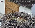 Capi_Dubne_20260516_142002.jpg