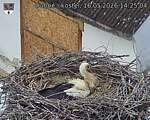 Capi_Dubne_20260516_142504.jpg