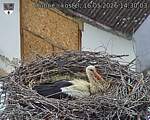 Capi_Dubne_20260516_143003.jpg