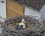 Capi_Dubne_20260516_143502.jpg