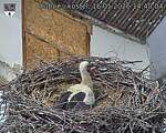 Capi_Dubne_20260516_144004.jpg