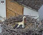 Capi_Dubne_20260516_144503.jpg
