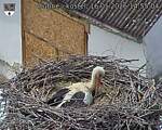 Capi_Dubne_20260516_145504.jpg