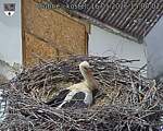 Capi_Dubne_20260516_150002.jpg