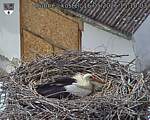 Capi_Dubne_20260516_151004.jpg