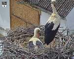 Capi_Dubne_20260516_152002.jpg