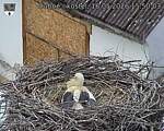 Capi_Dubne_20260516_155003.jpg