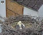 Capi_Dubne_20260516_160503.jpg