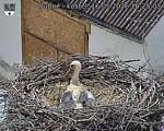 Capi_Dubne_20260516_162503.jpg
