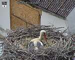 Capi_Dubne_20260516_163502.jpg