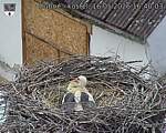 Capi_Dubne_20260516_164003.jpg