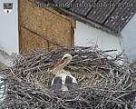 Capi_Dubne_20260516_164504.jpg
