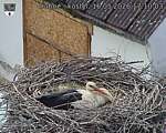 Capi_Dubne_20260516_171003.jpg