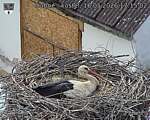 Capi_Dubne_20260516_171502.jpg