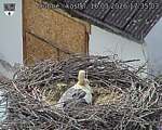 Capi_Dubne_20260516_173503.jpg