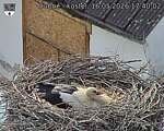 Capi_Dubne_20260516_174002.jpg