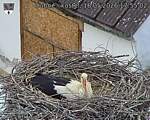 Capi_Dubne_20260516_175502.jpg
