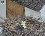 Capi_Dubne_20260516_184502.jpg