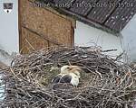 Capi_Dubne_20260516_201504.jpg