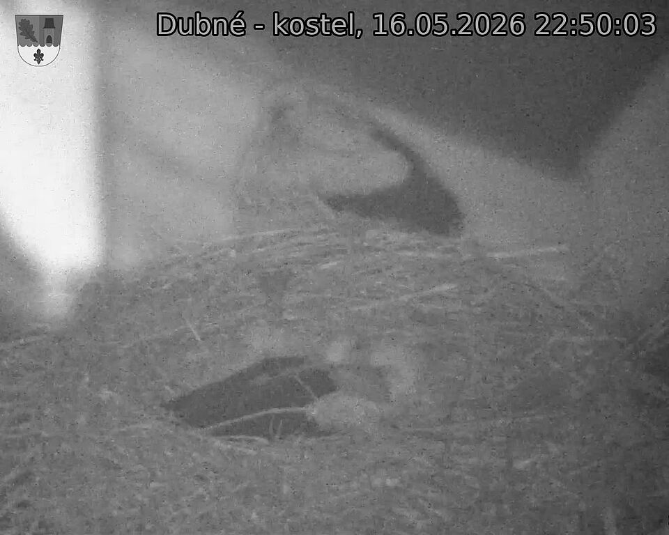 preload