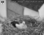 Capi_Dubne_20260517_052002.jpg