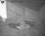 Capi_Dubne_20260517_234003.jpg