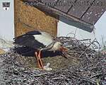 Capi_Dubne_20260518_092003.jpg