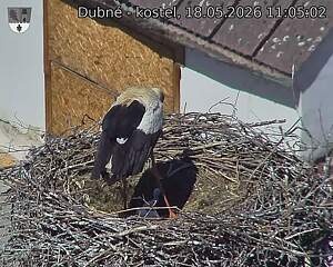 preload