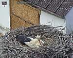 Capi_Dubne_20260518_134004.jpg
