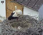Capi_Dubne_20260518_134502.jpg