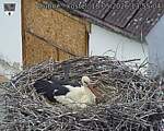 Capi_Dubne_20260518_135504.jpg