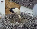 Capi_Dubne_20260518_140504.jpg